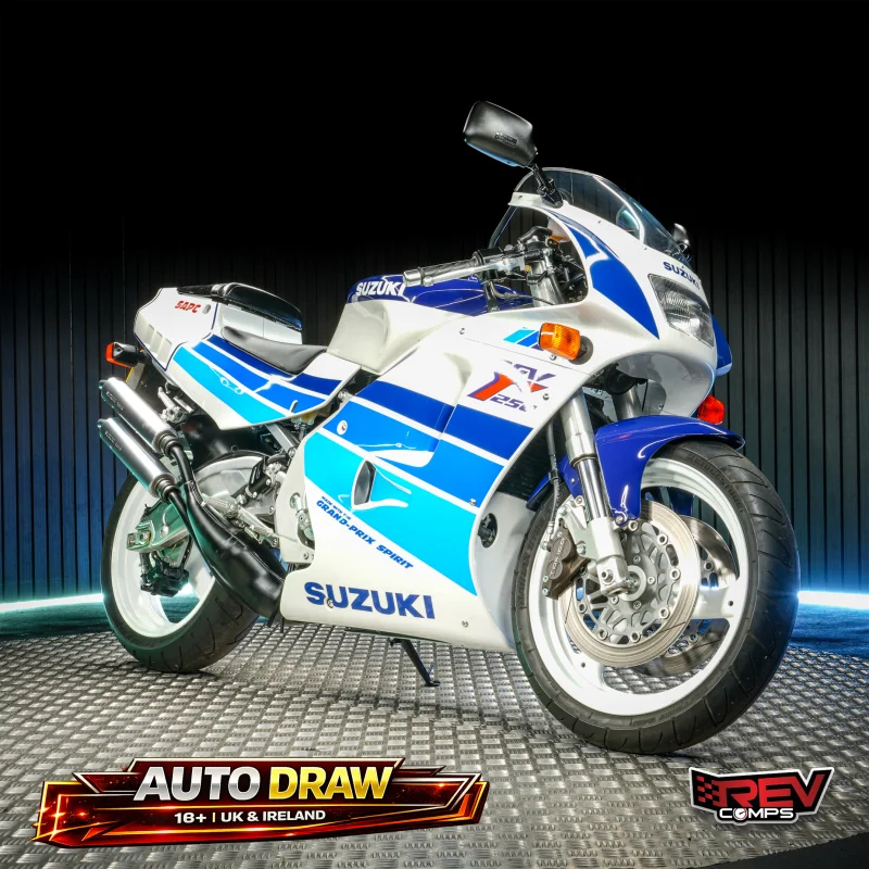 1991 Suzuki RGV 250 – LOW ODDS